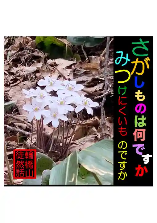 耕田院(山形県)