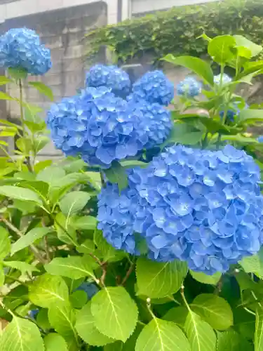 當光寺(東京都)