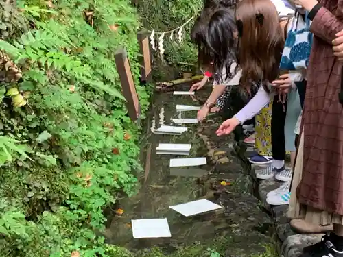 貴船神社のおみくじ