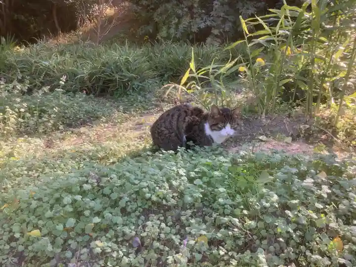 天龍山 誓海寺(愛知県)