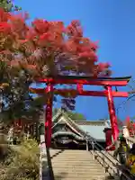 高尾山薬王院の鳥居