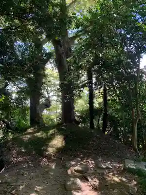 八幡神社(千葉県)