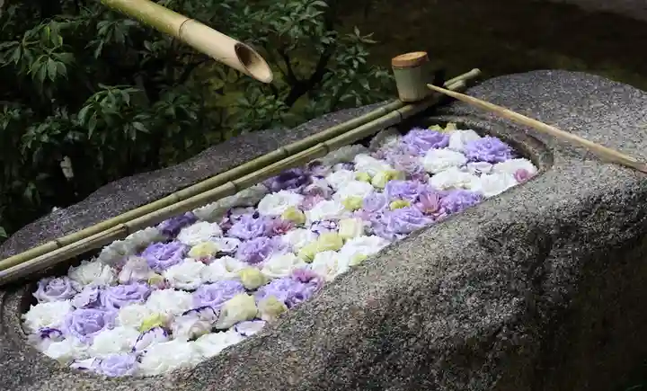 妙顯寺(妙顕寺)(京都府)