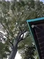 酒門神社(茨城県)