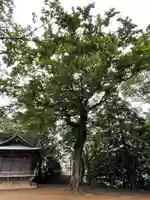 久我山稲荷神社のその他建物