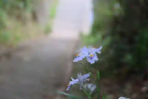 大六天麻王神社の自然
