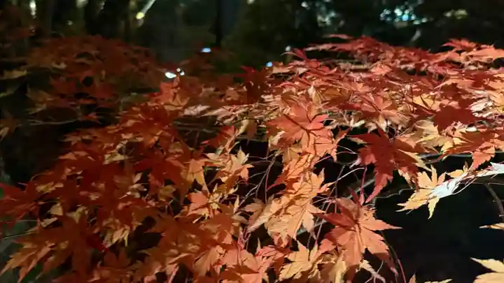 円通院(宮城県)