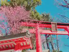 馬橋稲荷神社(東京都)