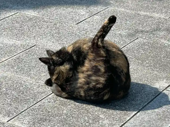 大興寺(香川県)