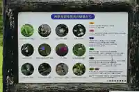 黒澤大師(徳島県)