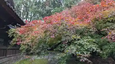 向日神社(京都府)