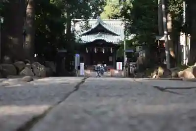 代々木八幡宮の本殿・本堂