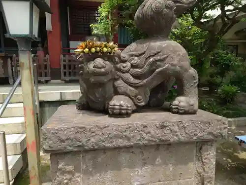 千住本氷川神社の狛犬