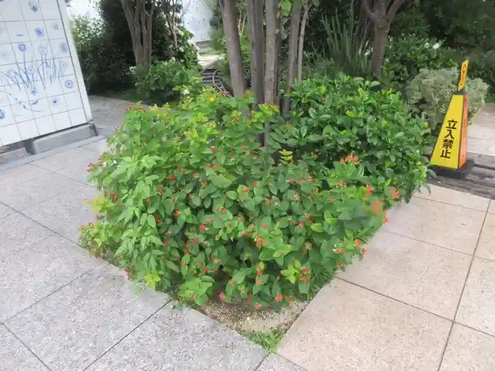 鉄道神社の自然
