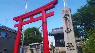 白山社（井堀）の鳥居