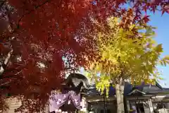 鹿島御子神社の自然