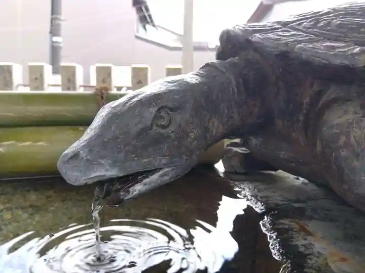杉杜白髭神社(福井県)