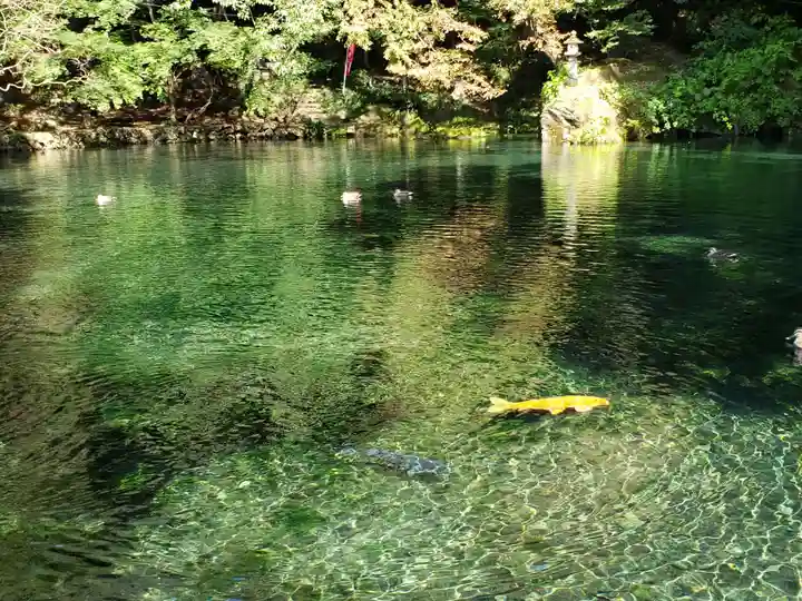 涌釜神社の庭園