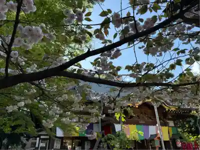 蓮馨寺(埼玉県)