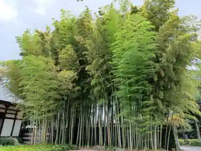 長源寺(東京都)