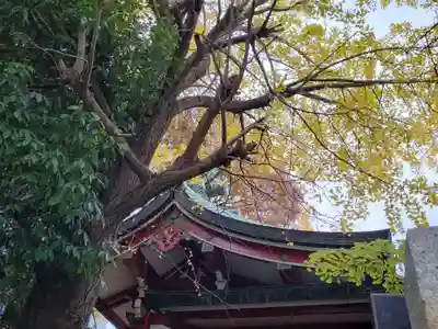 河原町稲荷神社の本殿・本堂