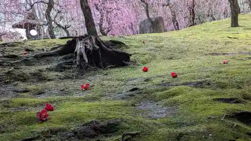 城南宮(京都府)