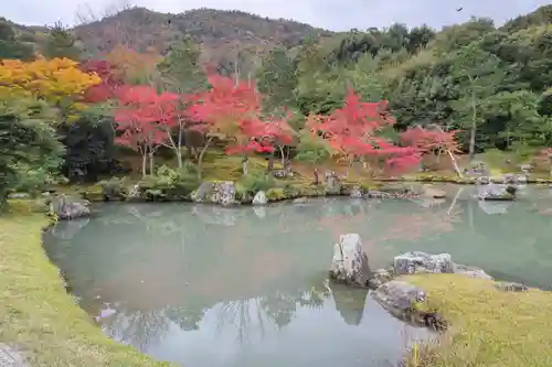 天龍寺の庭園