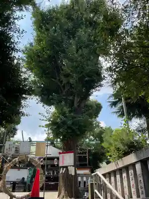 幡ケ谷氷川神社(東京都)