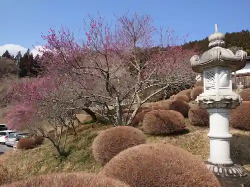 観音寺の庭園