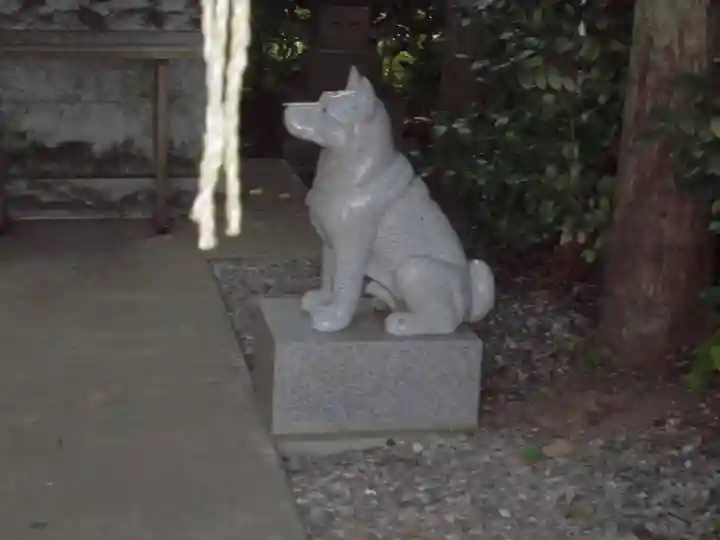座間神社の狛犬