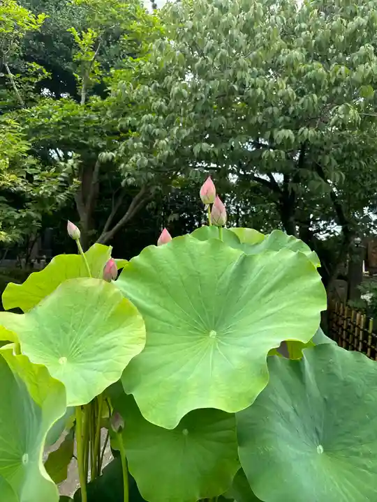 本瑞寺(神奈川県)