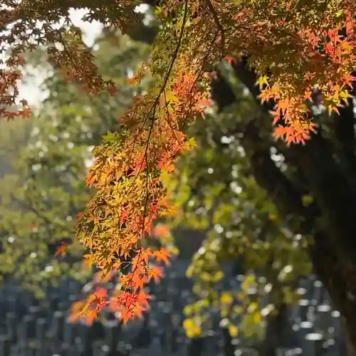 伊勢の国 四天王寺(三重県)