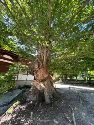 賀羅加波神社(広島県)