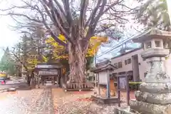 住吉神社(岩手県)