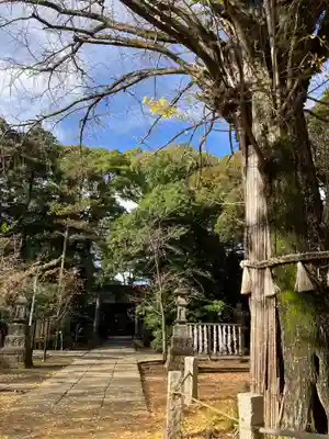 赤坂氷川神社のその他建物