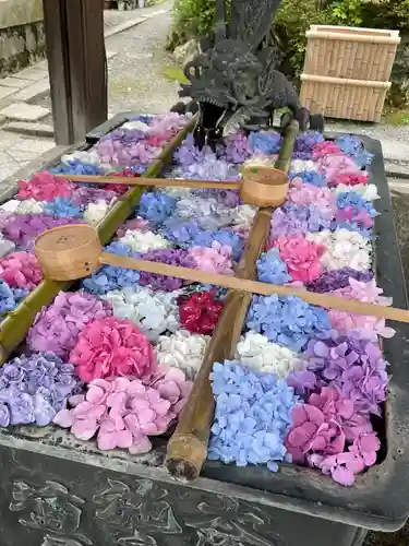 柳谷観音　楊谷寺の手水舎