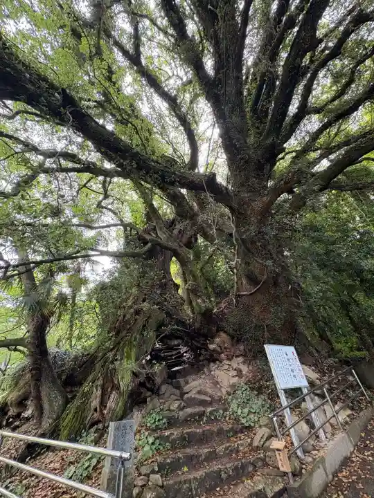 大山祇神社奥の院 生樹の御門の山門・神門