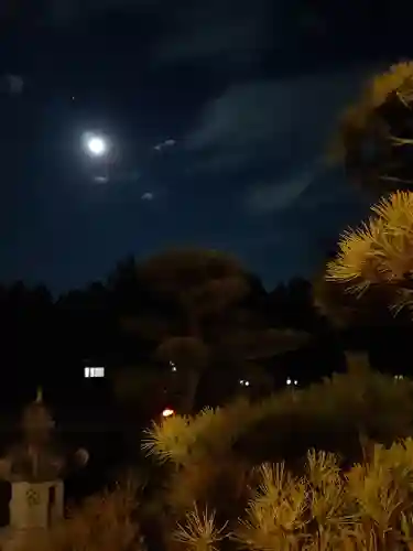 伏木香取神社の自然