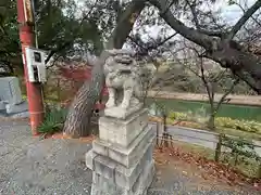 金井戸神社の狛犬