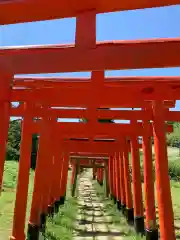 高屋敷稲荷神社の鳥居