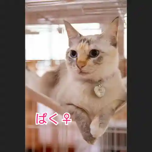 天王山 安楽寺(福井県)