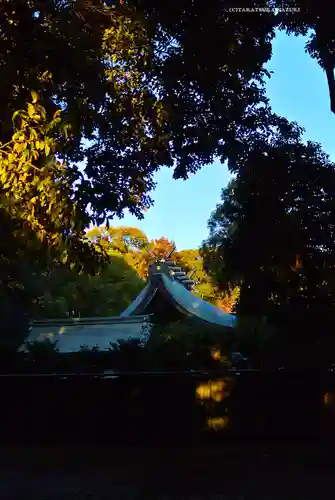 武蔵一宮氷川神社(埼玉県)