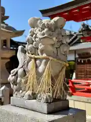 亀之森住吉神社(大阪府)