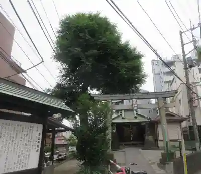 祇園白山神社(埼玉県)