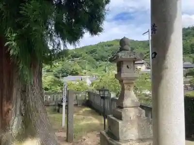 嵯峨天一神社(徳島県)