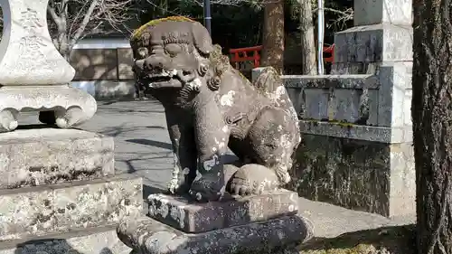 須佐神社の狛犬