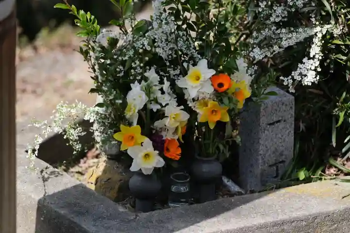 藤白神社の自然