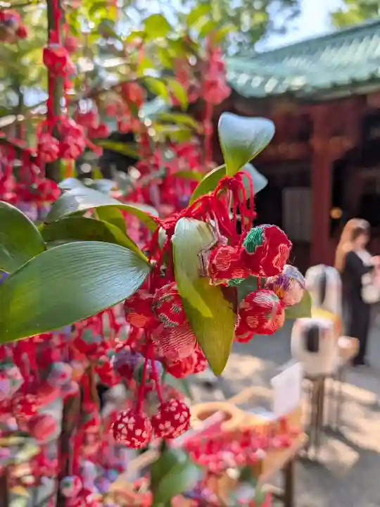 赤坂氷川神社(東京都)