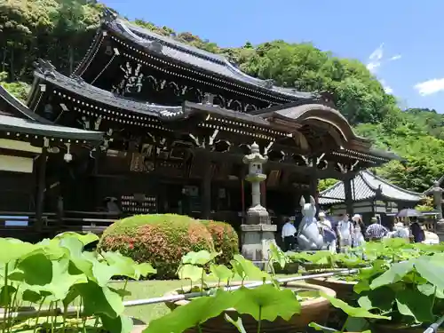三室戸寺の本殿・本堂