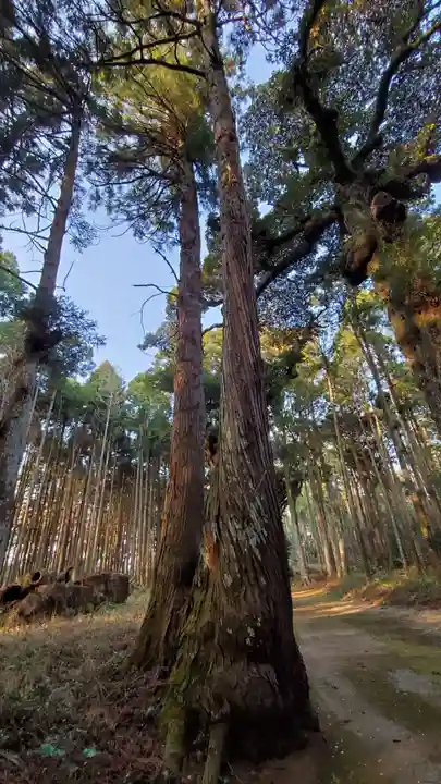 六所神社の自然